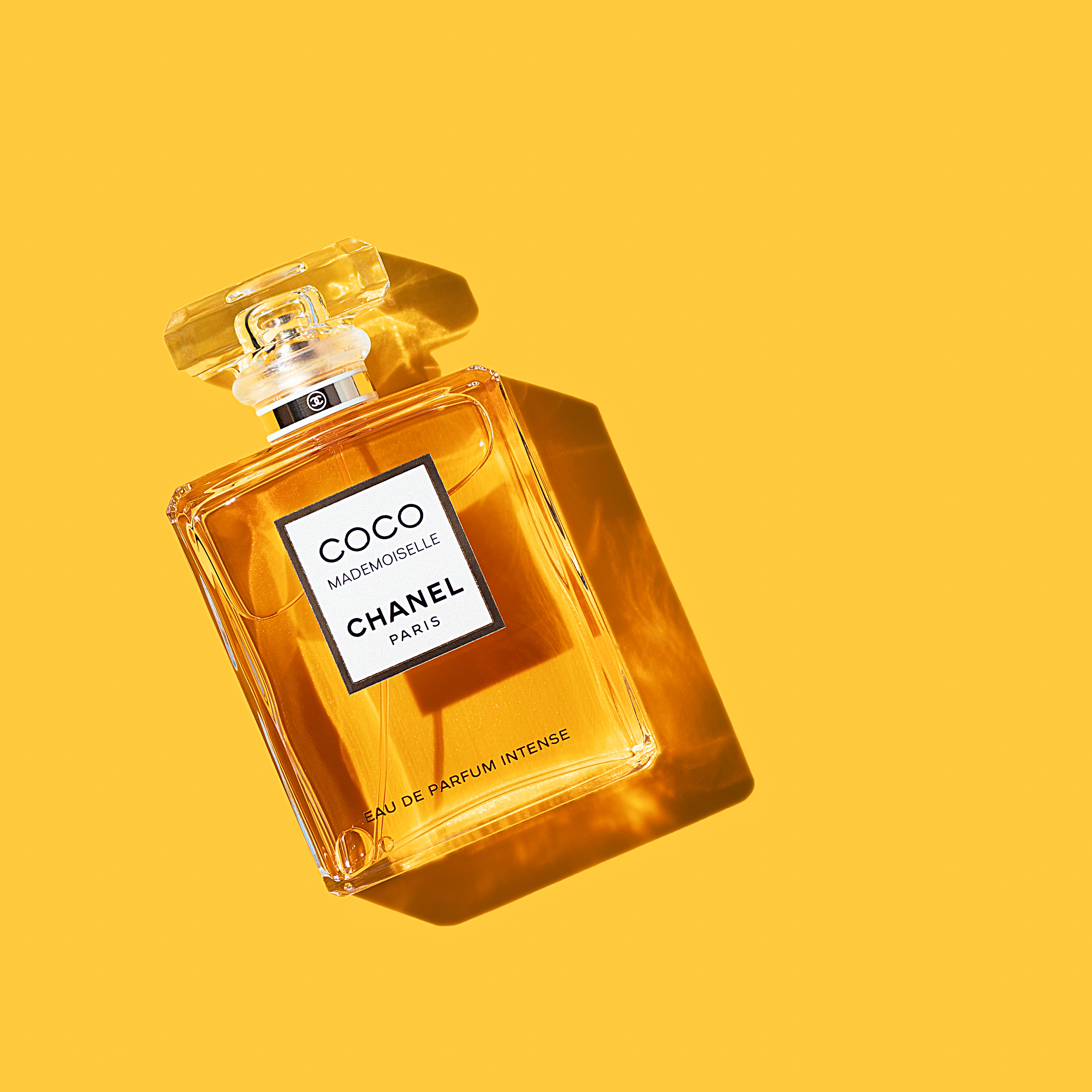 coco chanel coco chanel